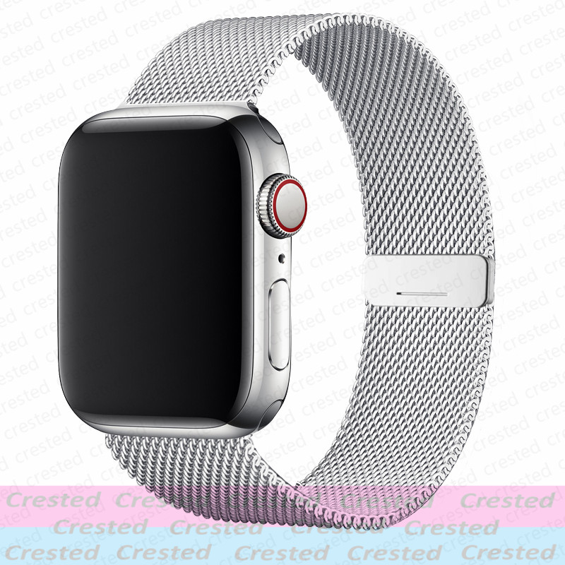 Correa de bucle magnético para - Milanese Loop Magnetic reseña y precio